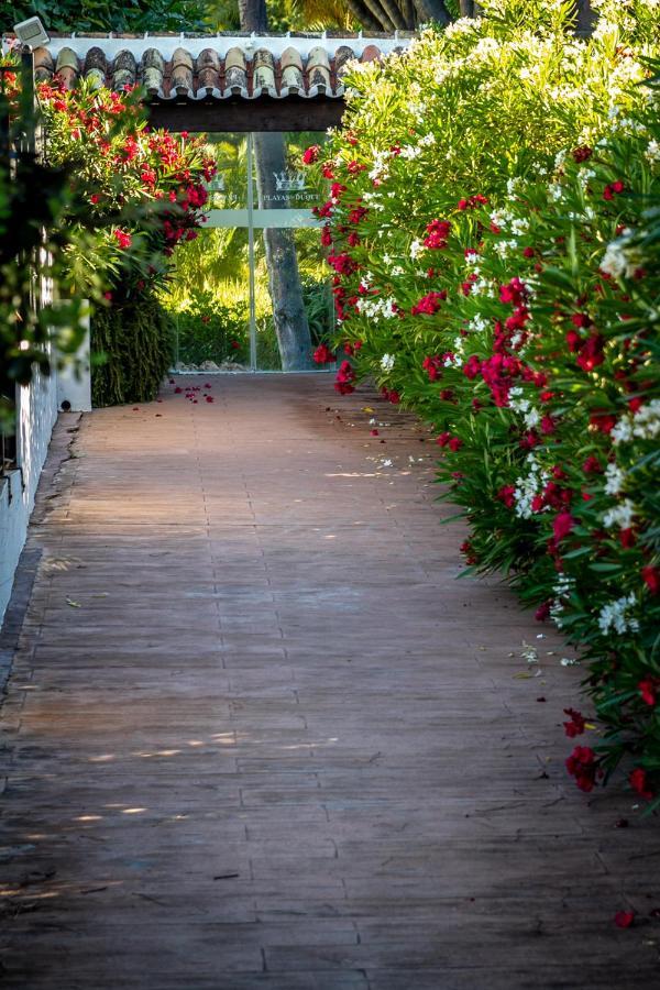 Marbella Banus Suites - Bird Of Paradise Playas Del Duque Banus Suite Apartment 외부 사진